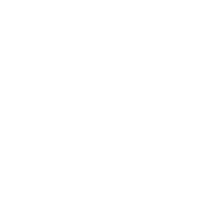 icon 9 1.png