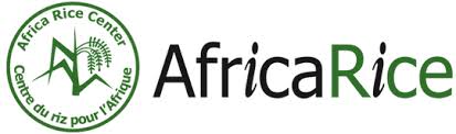 logo africa rice blog